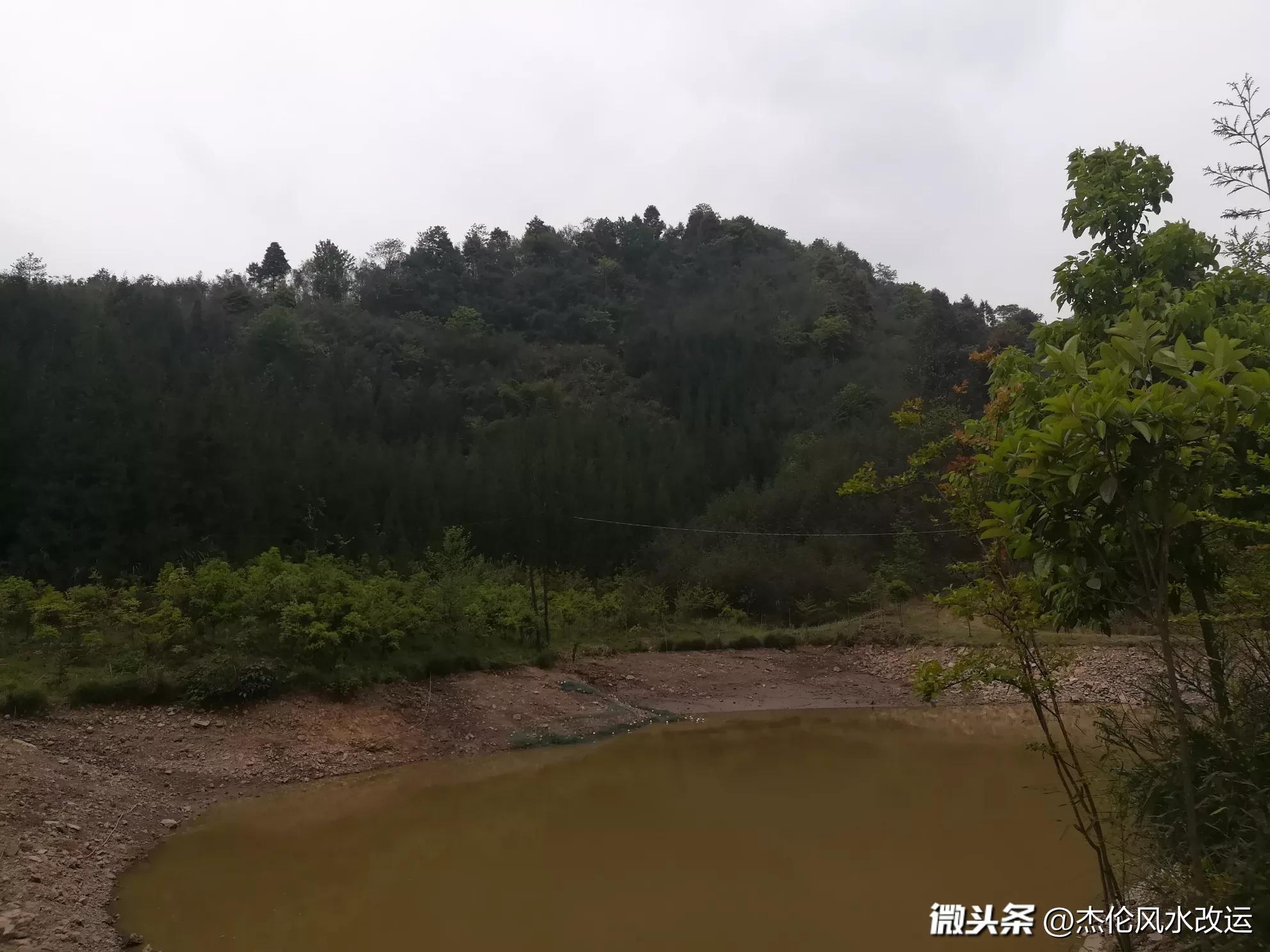 八字:甲辰年,壬申月,乙未日,辛巳时 - 今日头条(